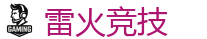 雷火电竞官网_全球领先的电竞赛事平台